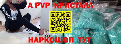 прущие грибы Будённовск